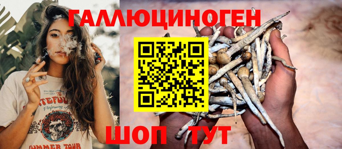 Галлюциногенные грибы ЛСД  Вход с VPN  Химки 